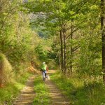Nel bosco verso Cascina Nespolo